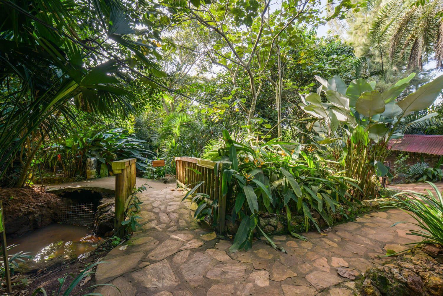 Malakai Eco Lodge Kitende المظهر الخارجي الصورة
